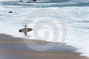 Surfer entering the sea to surf at Farol da Barra beach in the Brazilian city of Salvador
