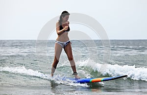 Surfer - girl