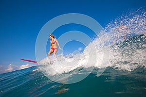 Surfer Girl.