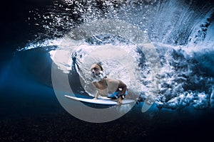 Surfer girl with surfboard duck dive underwater with wave