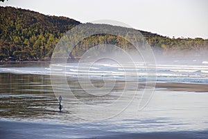 Surfer on misty Cox Bay, Tofino, British Columbia, Canada