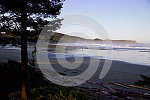 Surfer on misty Cox Bay, Tofino, British Columbia, Canada