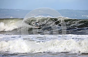 Surfer in ocean