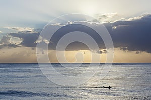 Surfer Ocean Silhouetted