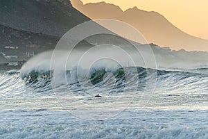 A surfer paddling out at Betty`s Bay beach at sunset in the Western Cape, South Africa