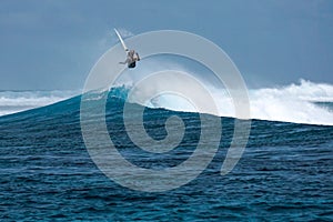 Surfer on perfect blue aquamarine wave, empty line up, perfect for surfing, clean water, Indian Ocean