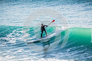 Surfer riding on stand up paddle board on big wave. Winter surfing in ocean