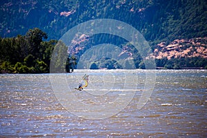 Surfer with sail rushes down the wind on the Columbia River in C