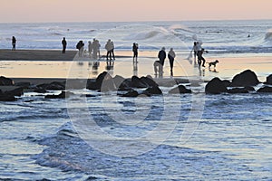 Surfer in San Francisco Lands End