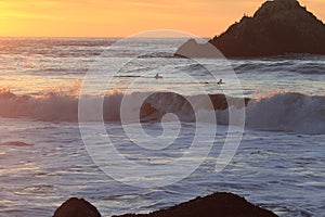 Surfer in San Francisco Lands End