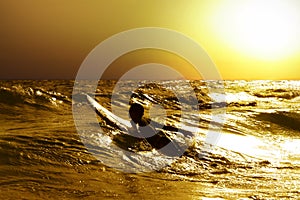 Surfer at sea