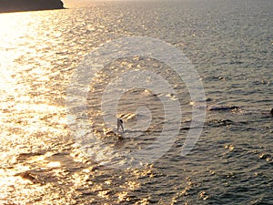 A surfer on the sea at Kerpe