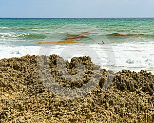 Surfer and Seaweed in Turquoise Waves