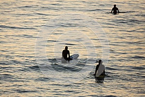 Surfer silhouettes waiting for the perfect wave at sunset