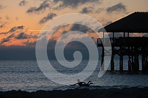 Surfer Sunrise on Coco Beach