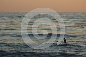 Surfer at sunset