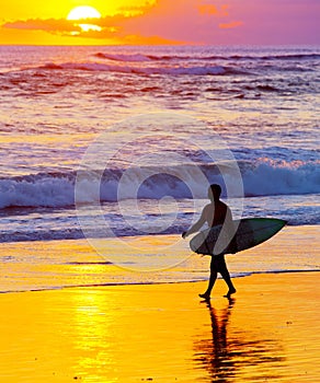 Surfer at sunset. Bali island