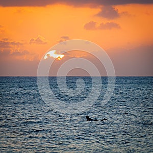 Surfer Sunset Silhouette