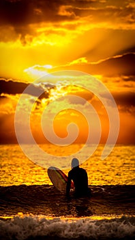 Surfer sunset wallpaper