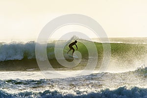 A surfer surfing at Betty`s Bay beach at sunset in the Western Cape, South Africa