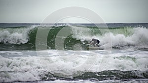 Surfer Surfing Wave