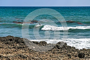 Surfer in the Turquoise Waves