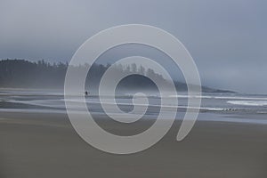 Surfer is walking with a White board along the Long Beach near Tofino