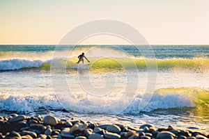 Surfer in wet suit on wave at sunset or sunrise. Surfer in ocean and waves