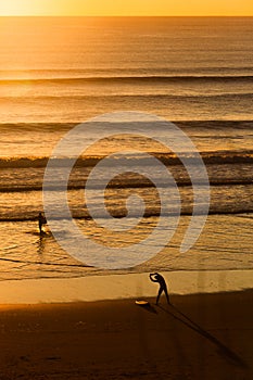 Surfers on beach at sunset