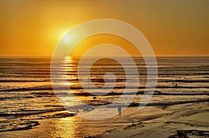 Surfers Coming in at Sunset