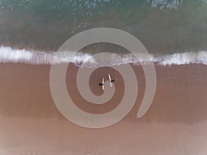 Surfers at Curl Curl Beach, Sydney Australia aerial