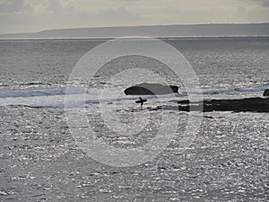 Surfers in the evening mood on the waves at the beach of Porthleven Cornwall England