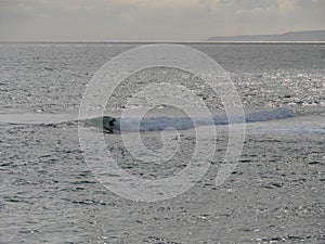 Surfers in the evening mood on the waves at the beach of Porthleven Cornwall England