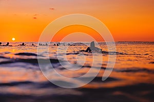 Surfers on line up and surfer woman at warm sunset. Surfing in ocean