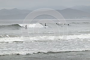 Surfers at Morro Rock Beach, California