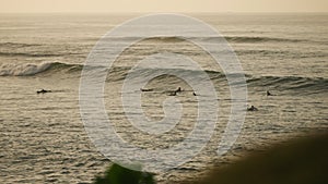 Surfers paddle, catch ocean waves at sunset. Group rides swell, practices sport. Golden light reflects on sea, action