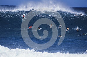 Surfers Paddling Out To Catch Wave