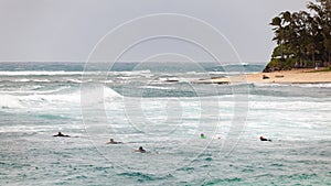 Surfers Paddling out to Waves Sunset Beach Hawaii