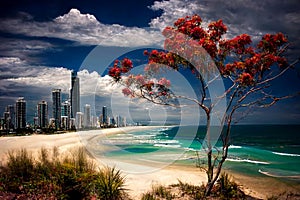 Surfers Paradise on the Gold Coast, Queensland Australia in spring time