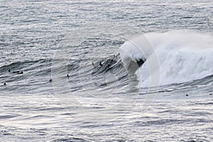 Surfers riding huge waves on the west coast, close to Pillar Point and Mavericks Beach, Half Moon Bay, California