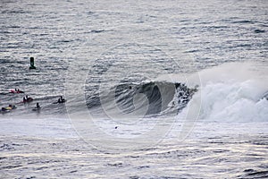Surfers riding huge waves on the west coast, close to Pillar Point and Mavericks Beach, Half Moon Bay, California photo