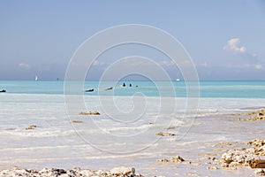 Surfers in Rosignano  - Italy, Toscany