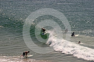 Surfers in sea