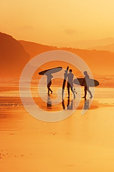 Surfers on the shore at sunset