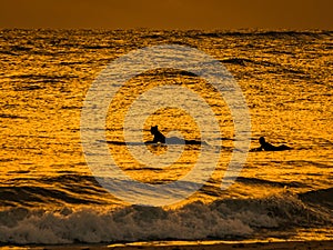 Surfers Silhouetted in a Golden Dawn