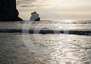 Surfers, sunset at Morro Bay