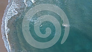 Surfers in the surf waiting for waves in the turquoise ocean off the Victorian Coastline