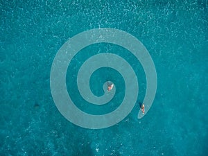 Surfers in tropical ocean waiting wave. Aerial view.