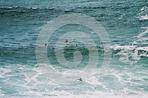 Surfers wait for the wave in the blue ocean