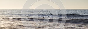 Surfers waiting for a wave